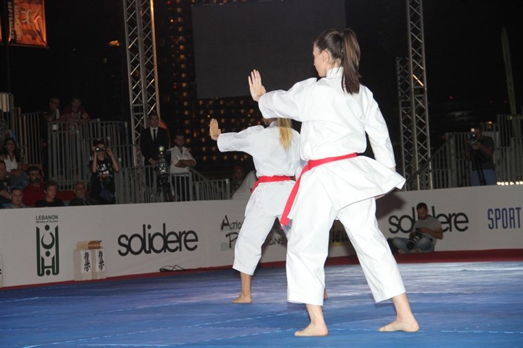 Martial Arts Festival